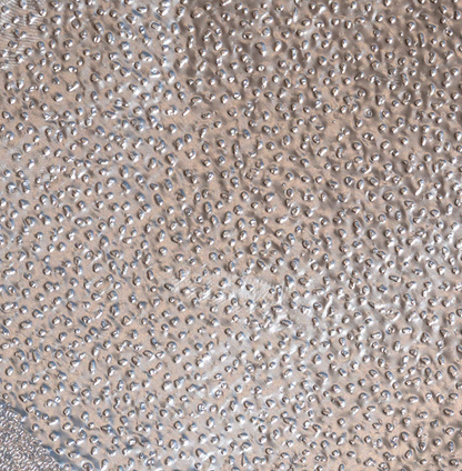 Matcha Latte Rough - Pop Up Foil - 15 cm x 38 cm | Größe M